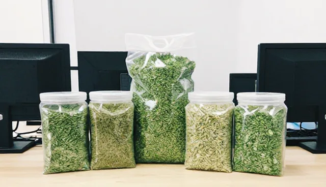 绿色种植在饮品行业的实践路径与应用前景